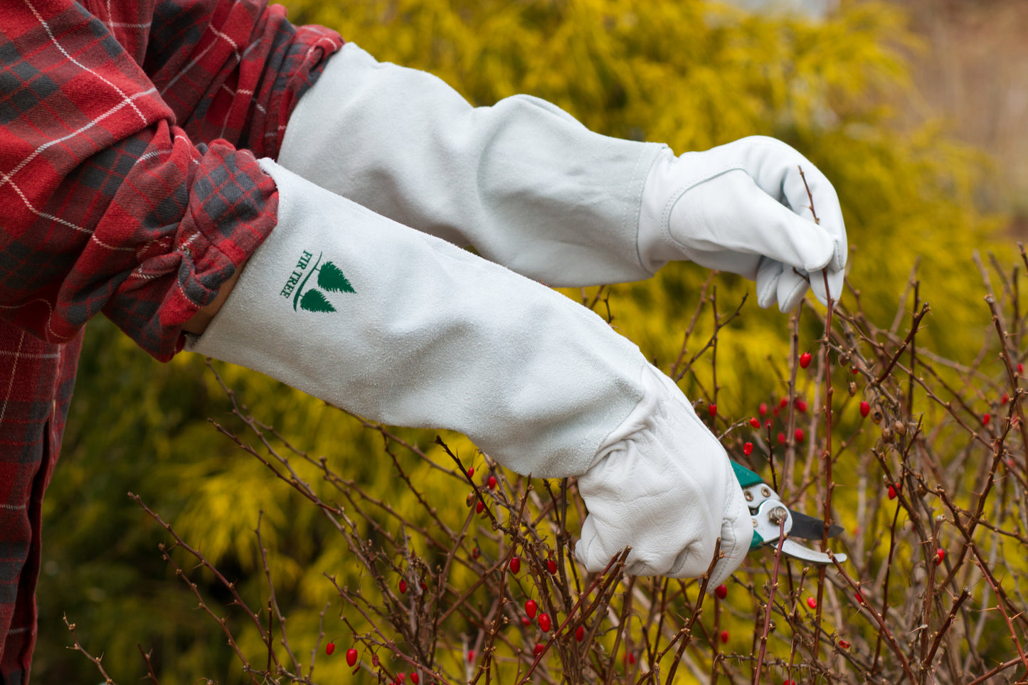 Goatskin Gardening Gloves leather is recognized as the most protective Arm and Hand Protection from Thorns